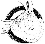 045-072-01-quesadillas