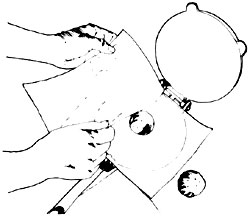 046-072-01-on-to-tortillas1