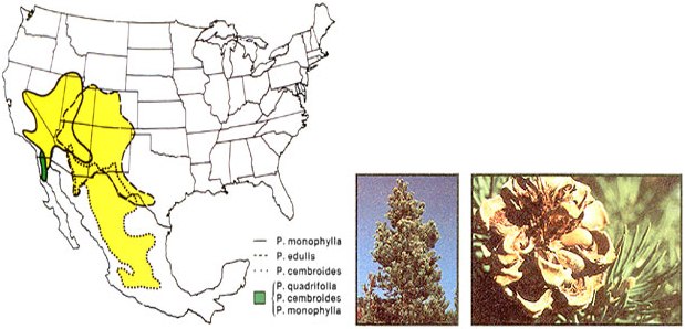 046-084-01-photos_01