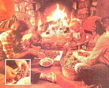 046-084-01-the-pinons