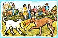 046-0CF-01-hush-puppies