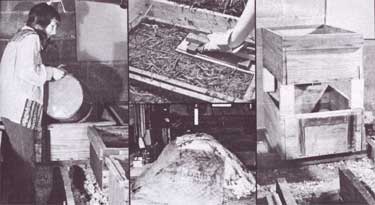 048-084-01-mushrooms2