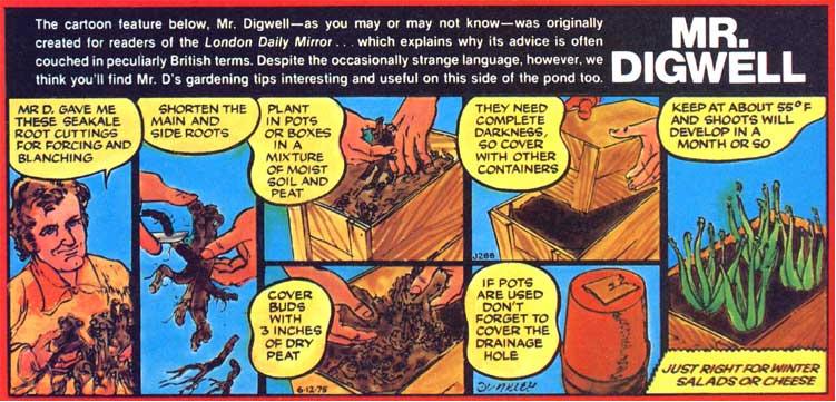 048-184-02-mrdigwell_01