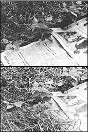 051-050-01-Slits-torn