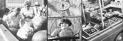 051-056-01-truckload-of-veg