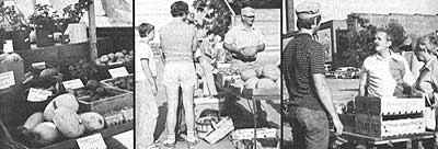 051-056-01-name-and-price