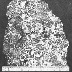 051-098-01-pallasite