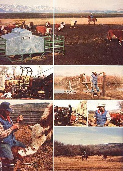 051-104-01-the-cowboy_01