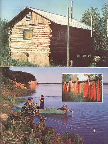 051-146-01-homesteading