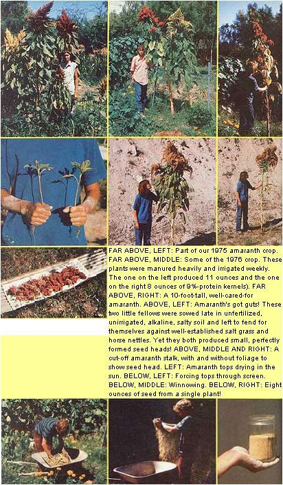 051-148-01-the-seeds_01