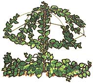 051-0CF-01-UMBRELLA-TRELLIS