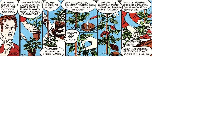 051-114-02-Mr.-Digwell_01