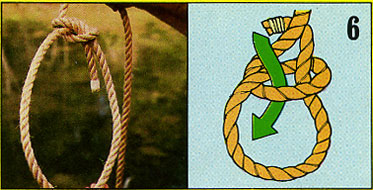 bowline