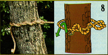timber hitch