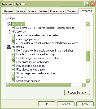 Internet Explorer Advanced Options: Sun Java